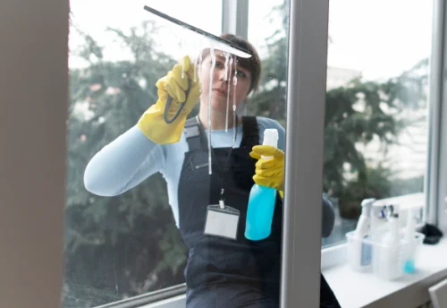 Nettoyage de vitres intérieures et extérieures à Vacherauville